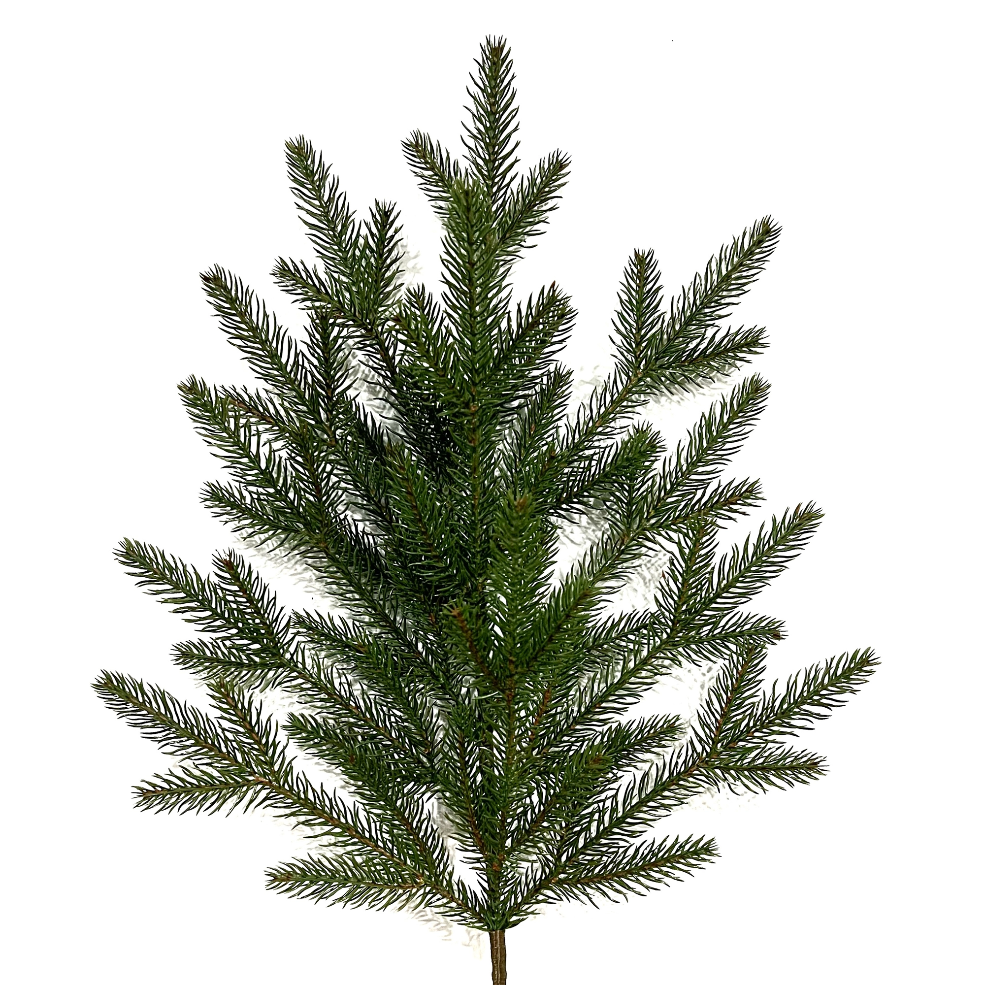 Ялинка "Джулія" - Зображення 2